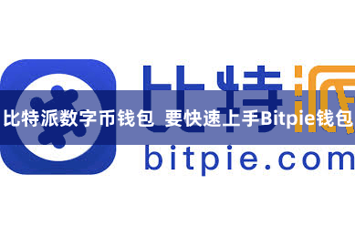 比特派数字币钱包 要快速上手Bitpie钱包