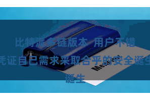 比特派多链版本 用户不错凭证自己需求采取合乎的安全诞生