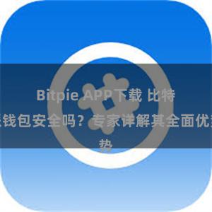 Bitpie APP下载 比特派钱包安全吗？专家详解其全面优势