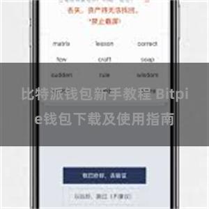   比特派钱包新手教程 Bitpie钱包下载及使用指南