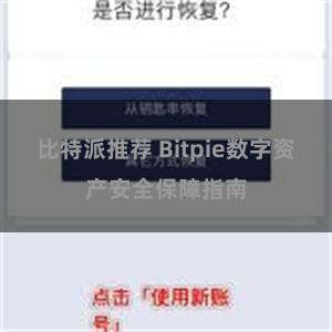 比特派推荐 Bitpie数字资产安全保障指南