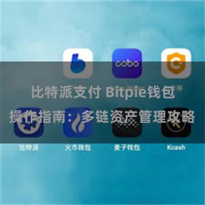 比特派支付 Bitpie钱包操作指南：多链资产管理攻略