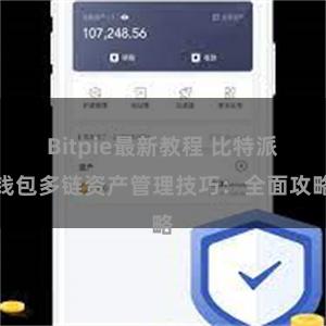 Bitpie最新教程 比特派钱包多链资产管理技巧：全面攻略