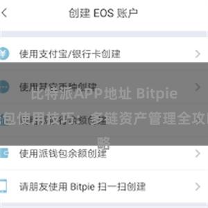 比特派APP地址 Bitpie钱包使用技巧：多链资产管理全攻略