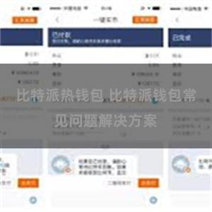 比特派热钱包 比特派钱包常见问题解决方案