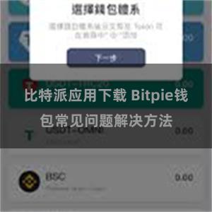 比特派应用下载 Bitpie钱包常见问题解决方法