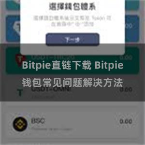 Bitpie直链下载 Bitpie钱包常见问题解决方法