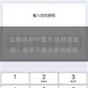 比特派APP官方 比特派钱包：新手下载及使用指南