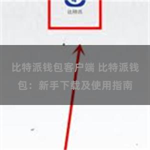 比特派钱包客户端 比特派钱包：新手下载及使用指南