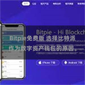 Bitpie免费版 选择比特派作为数字资产钱包的原因。