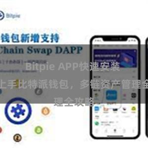 Bitpie APP快速安装 快速上手比特派钱包，多链资产管理全攻略