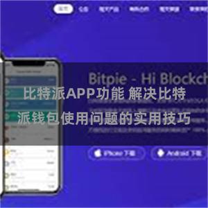 比特派APP功能 解决比特派钱包使用问题的实用技巧