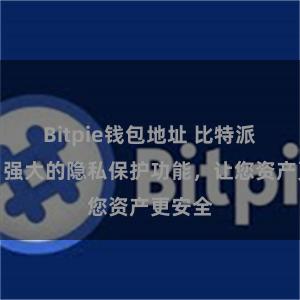 Bitpie钱包地址 比特派钱包：强大的隐私保护功能，让您资产更安全