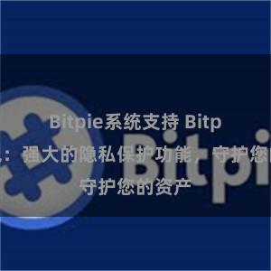 Bitpie系统支持 Bitpie钱包：强大的隐私保护功能，守护您的资产