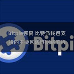 Bitpie恢复 比特派钱包支持的主要区块链网络解析