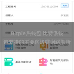 Bitpie热钱包 比特派钱包支持的主要区块链网络解析