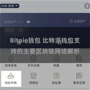 Bitpie钱包 比特派钱包支持的主要区块链网络解析