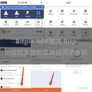 Bitpie APP官方 Bitpie钱包支持的区块链网络解析