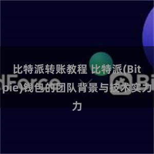 比特派转账教程 比特派(Bitpie)钱包的团队背景与技术实力