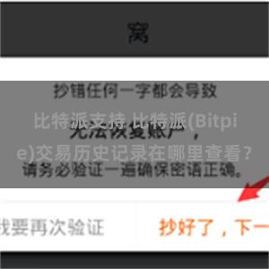 比特派支持 比特派(Bitpie)交易历史记录在哪里查看？