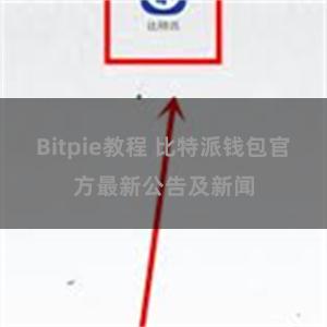 Bitpie教程 比特派钱包官方最新公告及新闻