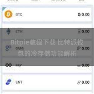 Bitpie教程下载 比特派钱包的冷存储功能解析