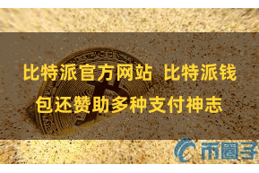 比特派官方网站  比特派钱包还赞助多种支付神志
