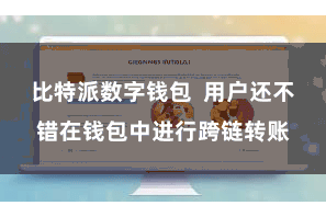 比特派数字钱包  用户还不错在钱包中进行跨链转账