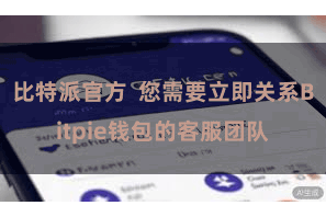 比特派官方  您需要立即关系Bitpie钱包的客服团队